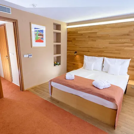 Park Congress & Wellness Hotel