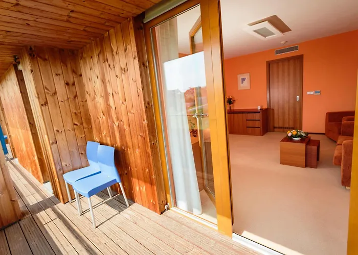 Park Congress & Wellness ホテル 4*